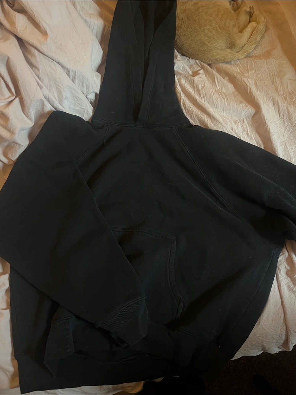 Aritzia Black Pullover Hoodie